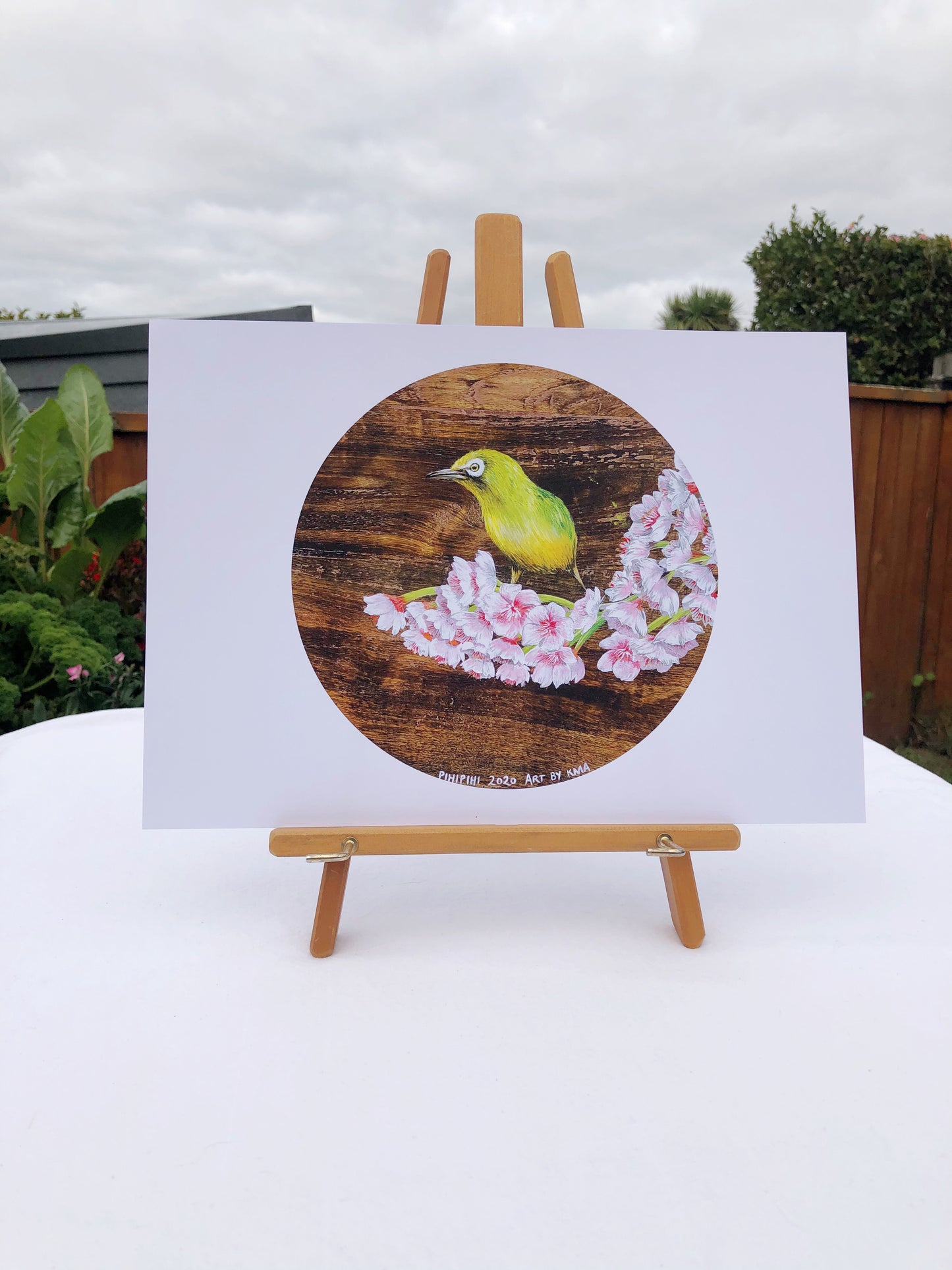 Pihipihi and Cherry blossom - Manu o Aotearoa - Print