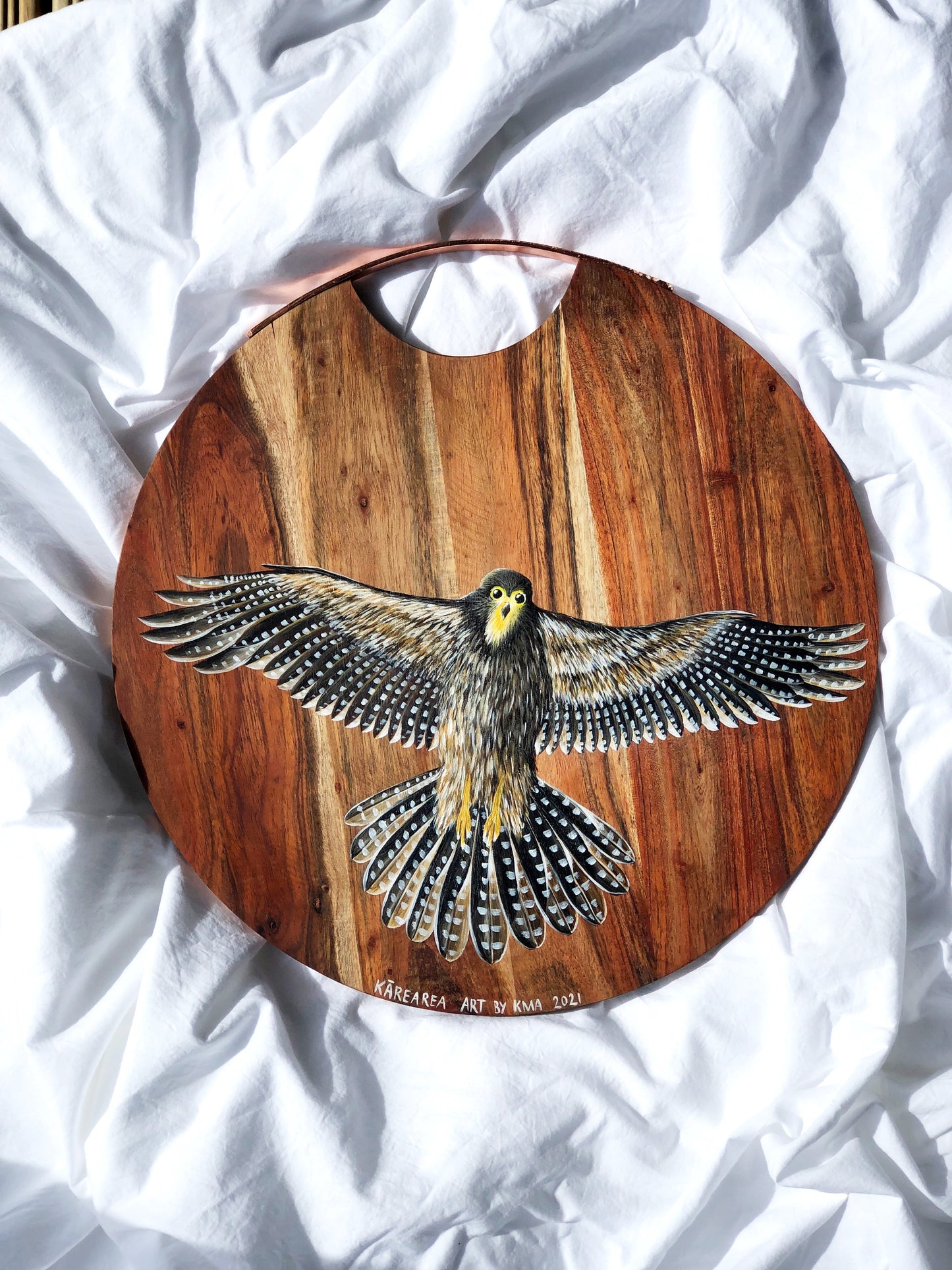 Kārearea in flight - 41cm wooden round